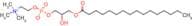 1-Palmitoyl-sn-glycero-3-phosphocholine