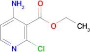 Ethyl 4-amino-2-chloronicotinate