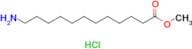 Methyl 12-aminododecanoate hydrochloride