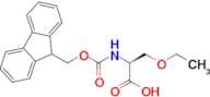 (S)-2-((((9H-Fluoren-9-yl)methoxy)carbonyl)amino)-3-ethoxypropanoic acid