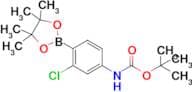 Tert-Butyl (3-chloro-4-(4,4,5,5-tetramethyl-1,3,2-dioxaborolan-2-yl)phenyl)carbamate