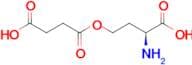 O-Succinyl-L-homoserine