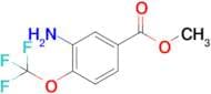 Methyl 3-amino-4-(trifluoromethoxy)benzoate