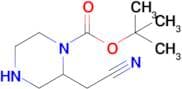 Tert-Butyl 2-(cyanomethyl)piperazine-1-carboxylate