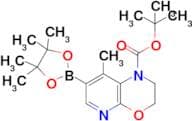 Tert-Butyl 8-methyl-7-(4,4,5,5-tetramethyl-1,3,2-dioxaborolan-2-yl)-2,3-dihydro-1H-pyrido[2,3-b][1…