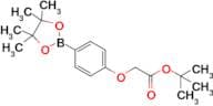 Tert-Butyl 2-(4-(4,4,5,5-tetramethyl-1,3,2-dioxaborolan-2-yl)phenoxy)acetate