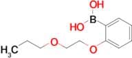 2-(2-Propoxyethoxy)phenylboronic acid