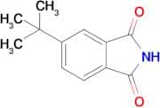 5-(Tert-butyl)isoindoline-1,3-dione
