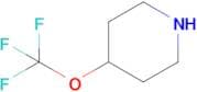 4-(Trifluoromethoxy)piperidine