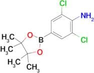 2,6-Dichloro-4-(4,4,5,5-tetramethyl-1,3,2-dioxaborolan-2-yl)benzenamine