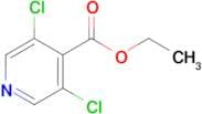 Ethyl 3,5-dichloropyridine-4-carboxylate