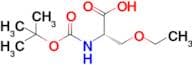 (S)-2-((tert-Butoxycarbonyl)amino)-3-ethoxypropanoic acid