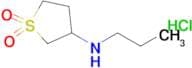 Tetrahydro-N-propyl-3-Thiophenamine-1,1-dioxide, hydrochloride (1:1)