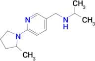 {[6-(2-methylpyrrolidin-1-yl)pyridin-3-yl]methyl}(propan-2-yl)amine