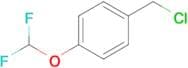 1-(Chloromethyl)-4-(difluoromethoxy)benzene
