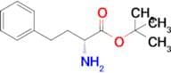 Tert-butyl (R)-2-amino-4-phenylbutanoate