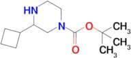 Tert-butyl3-cyclobutylpiperazine-1-carboxylate