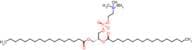 (R)-2,3-bis(heptadecanoyloxy)propyl (2-(trimethylammonio)ethyl) phosphate