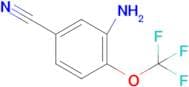 3-Amino-4-(trifluoromethoxy)benzonitrile