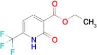 Ethyl 2-oxo-6-(trifluoromethyl)-1,2-dihydropyridine-3-carboxylate