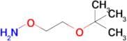 O-(2-(tert-butoxy)ethyl)hydroxylamine