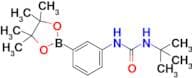 1-(Tert-butyl)-3-(3-(4,4,5,5-tetramethyl-1,3,2-dioxaborolan-2-yl)phenyl)urea