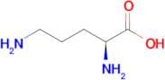 (S)-2,5-DIAMINOVALERIC ACID