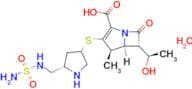 Doripenem monohydrate