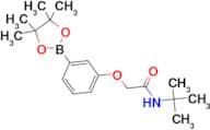 N-TERT-BUTYL-2-[3-(4,4,5,5-TETRAMETHYL-1,3,2-DIOXABOROLAN-2-YL)PHENOXY]ACETAMIDE