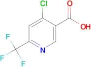 4-CHLORO-6-(TRIFLUOROMETHYL)PYRIDINE-3-CARBOXYLIC ACID