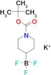 Potassium {1-[(tert-butoxy)carbonyl]piperidin-4-yl}trifluoroboranuide