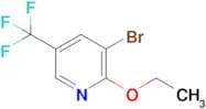 3-Bromo-2-ethoxy-5-(trifluoromethyl)pyridine