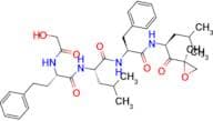 Enzyme-IN-1