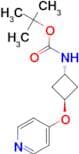 Tert-butyl (trans-3-(pyridin-4-yloxy)cyclobutyl)carbamate