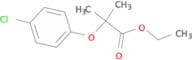 Clofibrate