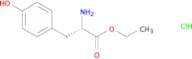 H-Tyr-OEt.HCl