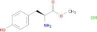 H-Tyr-OMe.HCl