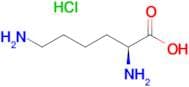 H-Lys-OH.HCl