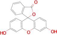 Fluorescein