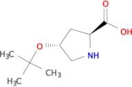 H-Hyp(tBu)-OH