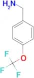 4-(Trifluoromethoxy)benzylamine