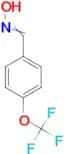 4-(Trifluoromethoxy)benzaldoxime