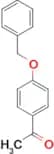 4-Benzyloxyacetophenone