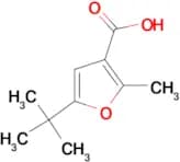 5-tert-Butyl-2-methylfuran-3-carboxylic acid