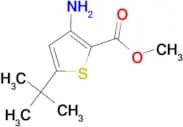 Methyl 3-amino-5-tert-butylthiophene-2-carboxylate