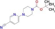 5-Cyano-2-[4-butoxycarbonyl(piperazino)]pyridine