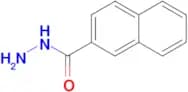 2-Naphthhydrazide