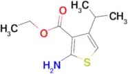 2-Amino-4-isopropyl-thiophene-3-carboxylic acid ethyl ester