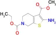 2-Amino-4,7-dihydro-5H-thieno[2,3-c]pyridine-3,6-dicarboxylic acid 6-ethyl ester 3-methyl ester