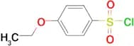 4-Ethoxy-benzenesulfonyl chloride